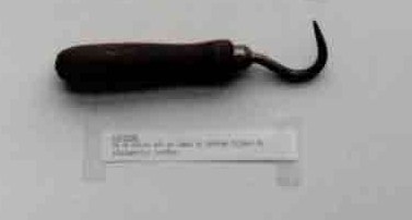 Bestand:41103 looihaak.jpg