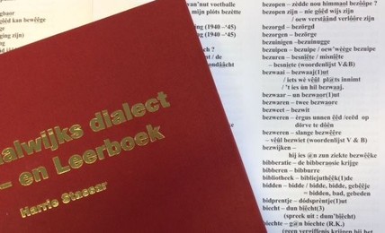 Bestand:Het Waalwijks dialect.jpg